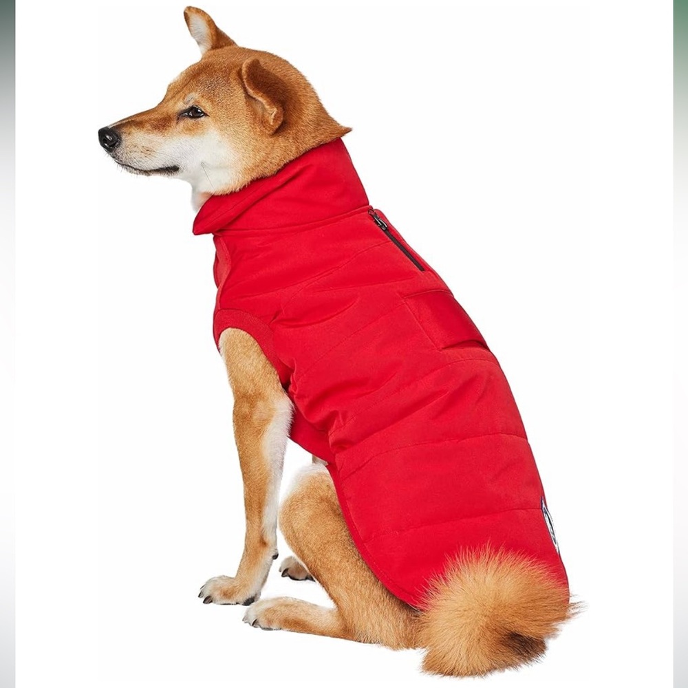 Blueberry Pet Windproof Waterproof Red Dog Coat 20”